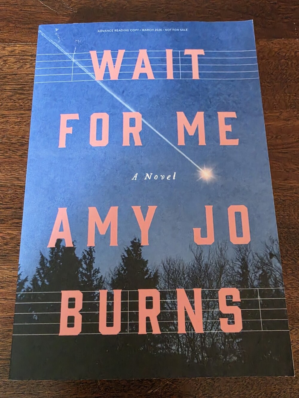 Wait for Me By Amy Jo Burns Paperback Book ARC Uncorrected Proof